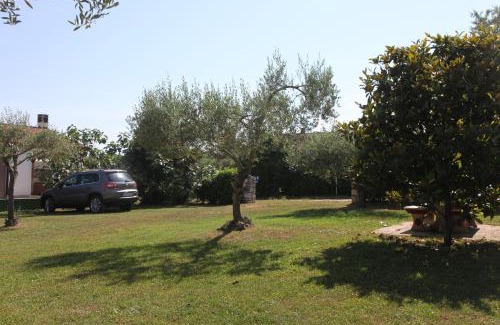 Basanija Apartment | App Trinodis