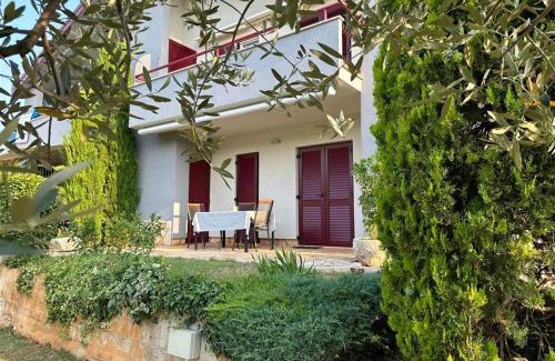 Basanija Apartment | App Trinodis
