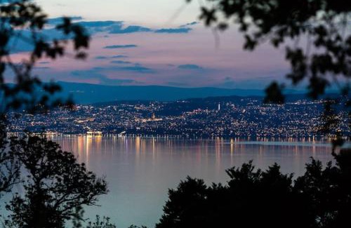 Lugrin Apartment | Appart cosy avec vue sur Lac