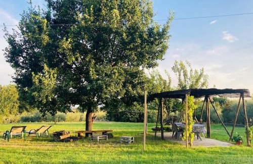 Monsummano Terme Apartment | - Appartamento Il fienile
