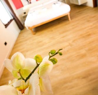 Belluno House | Appartamento immerso nella natura con parcheggio - Ciclamino