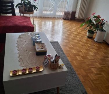 Busserach Apartment | Appartement équipé à louer à Ecublens