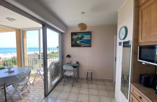 Le Barcares Apartment | Appartement 2 pièces 5 pers avec Parking au Barcarès - FR-1-81-643