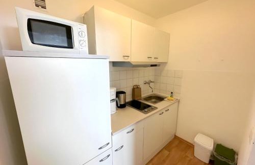 Geyersberg Apartment | Appartement Bernhard im Bayerischen Wald