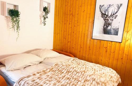 Saint-Pierre-de-Clages Apartment | Appartement central Free Parking