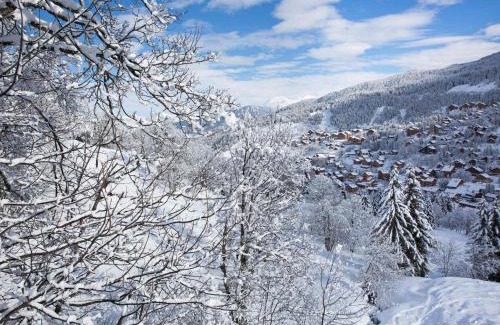 Meribel-Mottaret Apartment | Appartement Chaleureux sur Pistes - Balcon, 4 Pers, Bien Équipé, Proche Commodités - FR-1-182-52