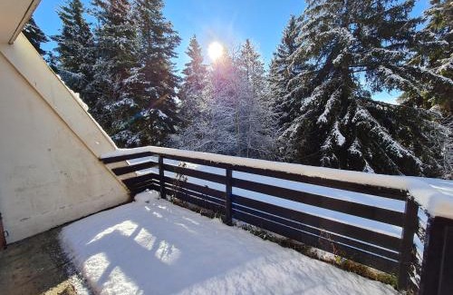 Font-Romeu-Odeillo-Via Apartment | Appartement cosy 1 chambre, rénové avec terrasse exposée Sud