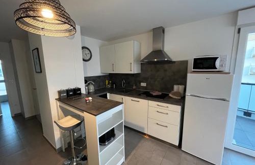 Colmar Apartment | Appartement Magnîolia proche centre Ville