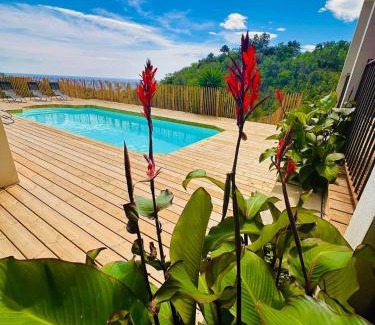 Sari-Solenzara Apartment | Appartement Mare è Machja avec piscine et vue mer