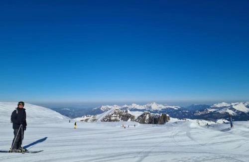 Hirmentaz Apartment | appartement montagne la vallée verte cœur station Hirmentaz