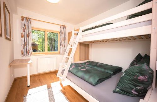 Ramsau am Dachstein Apartment | Appartement Sonnenheim