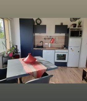Lege-Cap-Ferret Apartment | Appartement T2 Lège Cap Ferret