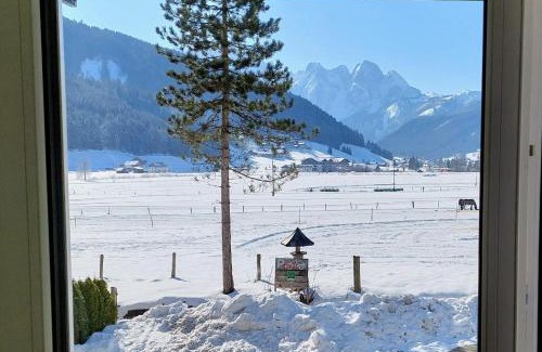 Gosau Apartment | Appartement Twin Peak Edelweiss