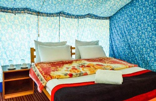Hunder Bed & Breakfast | Apple Nubra Cottage