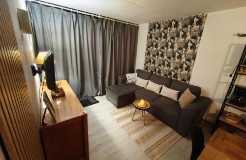 La Mongie Apartment | Apt T2, 34m2, pied de piste, 4 à 6 pers, 1 chambre, parking privé sousterrain