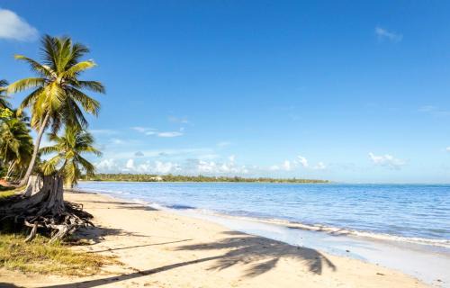 Dorado Pueblo Apartment | AQUA Terrazas Studio 1 - ADA Accessible - Beach, Pool & Dining