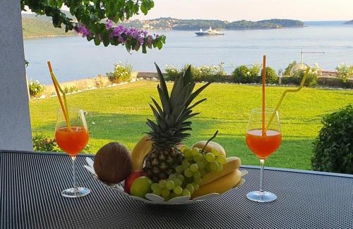 Zupa dubrovacka Apartment | Arba Seaview Residences Apartments
