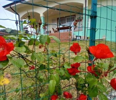 Ricco del Golfo Bed & Breakfast | Archi Di Sole