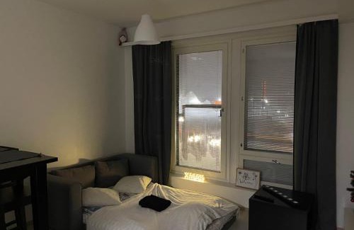 Rovaniemi Apartment | Arctic Penthouse Studio with FREE parking and high-speed Wi-Fi