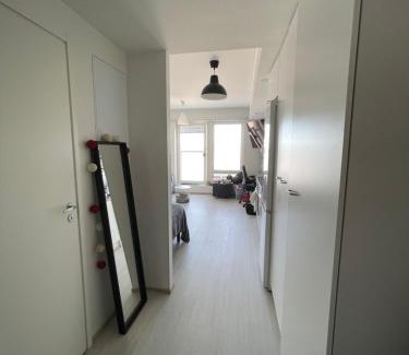 Rovaniemi Apartment | Arctic Penthouse Studio with FREE parking and high-speed Wi-Fi