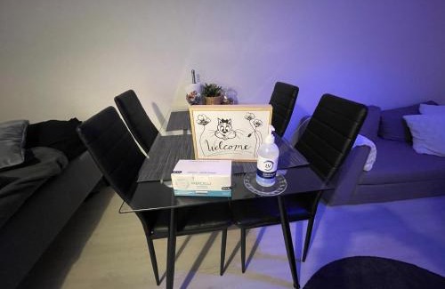 Rovaniemi Apartment | Arctic Penthouse Studio with FREE parking and high-speed Wi-Fi