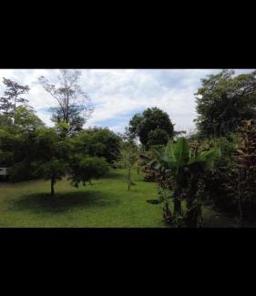 La Fortuna House | Arenal Hostel La Catarata