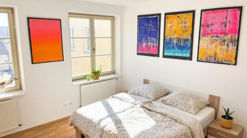 Ceske Budejovice Apartment | ART room with rooftop dinner or breakfast