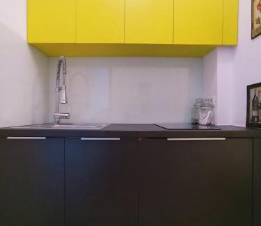 Timisoara Apartment | Art Studio Apartment