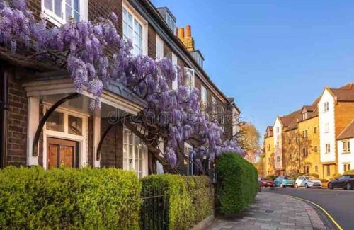 Richmond-upon-Thames Apartment | Arty Boutique Apartment in Central Teddington