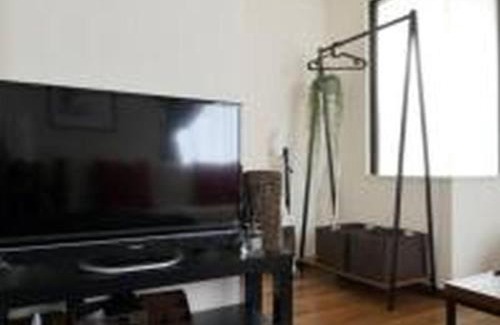 Tanimachi Apartment | Artz Apt 505 アルツマンション 505