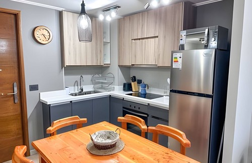 Pucon Apartment | AS - Origen Focus 02
