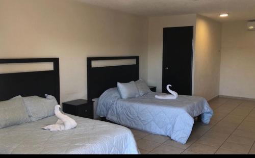 Downtown Cabo San Lucas Hotel | Atardecer