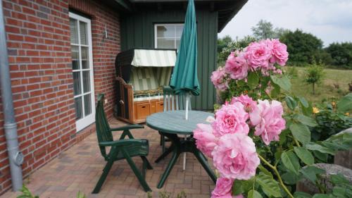 Ostseebad Ahrenshoop Apartment | Atelierwohnung Götze