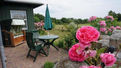Ostseebad Ahrenshoop Apartment | Atelierwohnung Götze