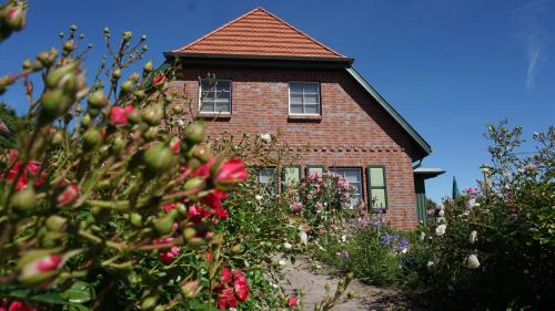 Ostseebad Ahrenshoop Apartment | Atelierwohnung Götze