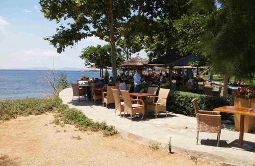 Voula Apartment | Athens riviera modern and elelegant flat 500 metres from VOULA beach