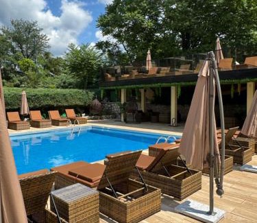 Veliko Gradiste Hotel | ATOS Srebrno jezero - Villa and Restaurant