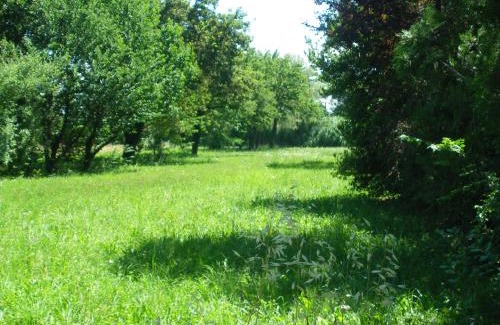 Avignon House | Au charme et à la campagne