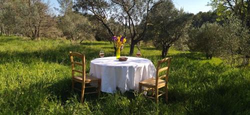 Draguignan House | Au coeur de l'oliveraie