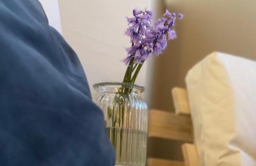 Lytham St. Anne's Apartment | Avondale, Lytham - Unique and luxury apartment in the heart of Lytham