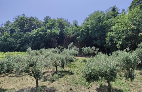 San Vito Chietino House | B&B AcquaViva