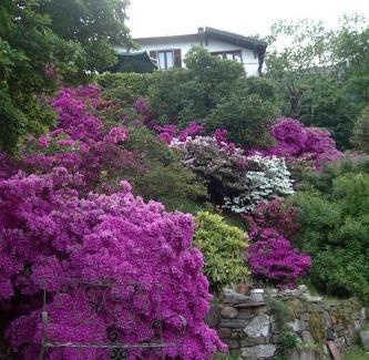 Casale Corte Cerro Bed & Breakfast | B&B Al Mutpron