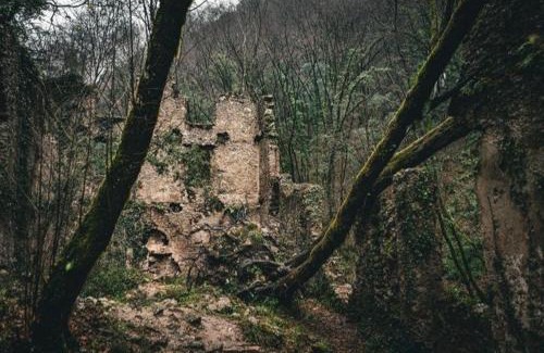 Camaiore House | B&B Candalla