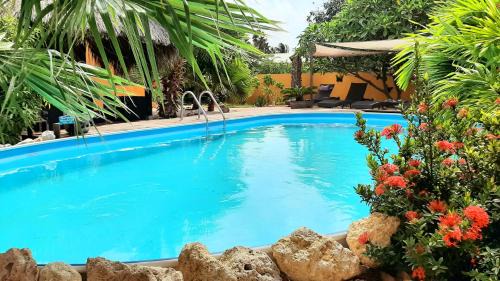 Playa Apartment | B&B Casa Trankilo