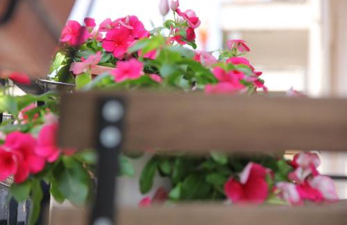 Bernalda Bed & Breakfast | B&B Casa Venezia