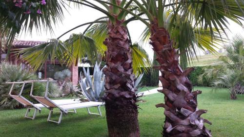Bonavigo Bed & Breakfast | B&B "Corte San Tomaso"