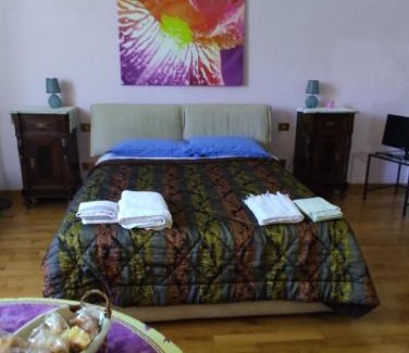 Florence Bed & Breakfast | B&B DUE ABETI