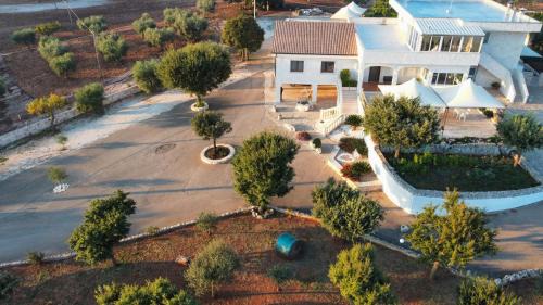 Castellana Grotte Bed & Breakfast | B&B Il Leccio