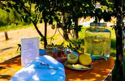 Ascea Bed & Breakfast | B&B La Terra di Parmenide