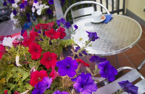 Nicolosi Bed & Breakfast | B&B Notti E Dintorni